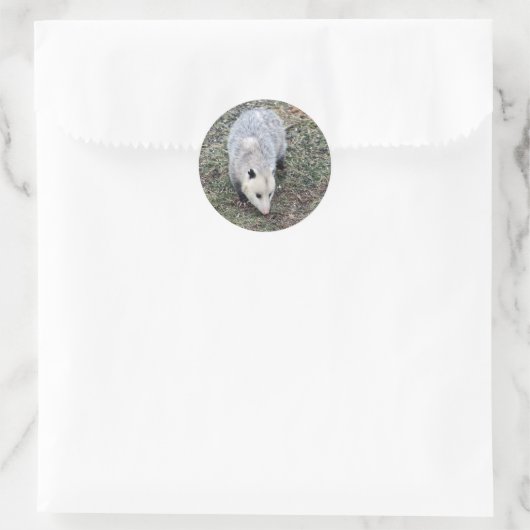 Opossum Photo Ronde Sticker (Tas)