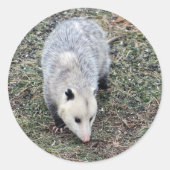 Opossum Photo Ronde Sticker (Voorkant)