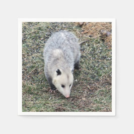 Opossum Photo Servetten