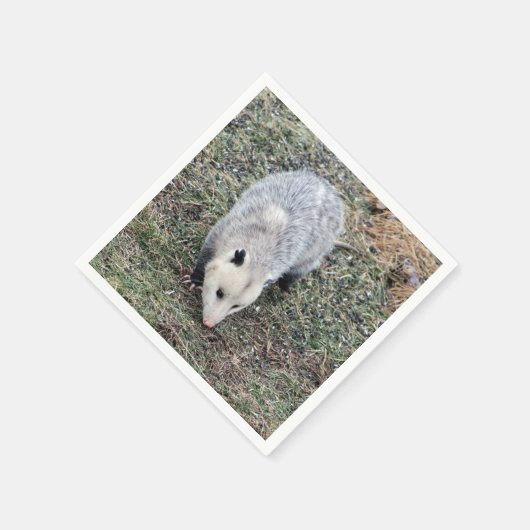 Opossum Photo Servetten (Hoek)