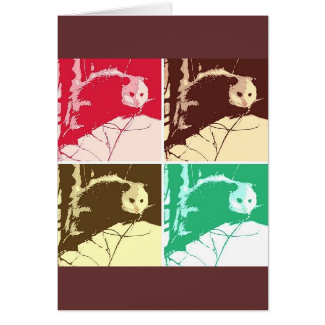 Opossum Pop Art (Voorkant)