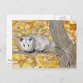 Opossum Post Card Briefkaart (Voorkant / Achterkant)