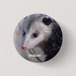 Opossum Ronde Button 3,2 Cm