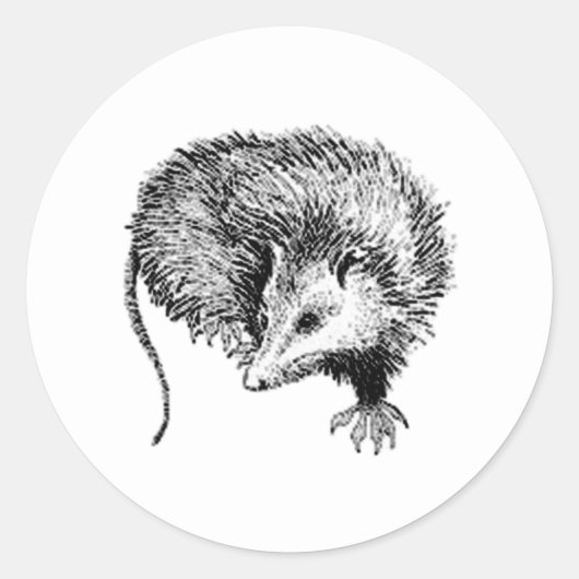 Opossum Ronde Sticker (Voorkant)