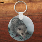 opossum sleutelhanger (Voorkant)