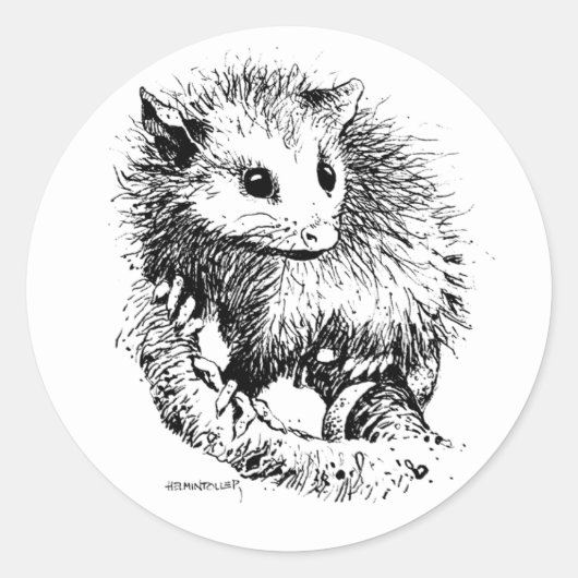 Opossum Stickers (Voorkant)