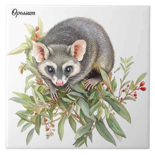 Opossum Tegeltje (Voorkant)