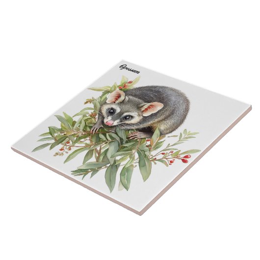 Opossum Tegeltje (Zijkant)