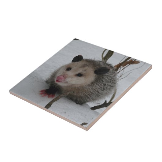 Opossum Tegeltje (Zijkant)