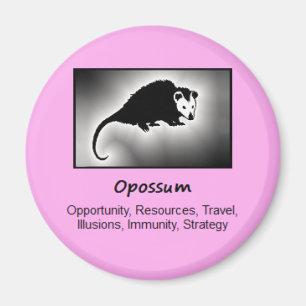 Opossum Totem Animal Spirit betekenend Magneet