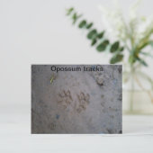 Opossum tracks briefkaart (Staand voorkant)