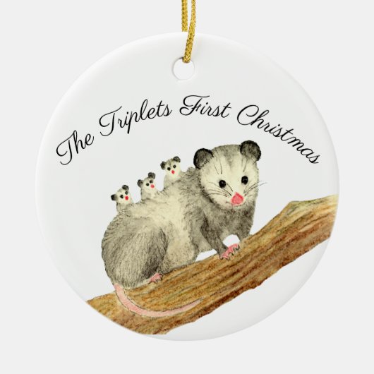 Opossum triplets keramisch ornament (Voorkant)