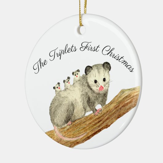 Opossum triplets keramisch ornament (Links)