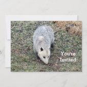 Opossum Uitnodiging (Voorkant)
