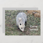 Opossum Uitnodiging (Voorkant / Achterkant)