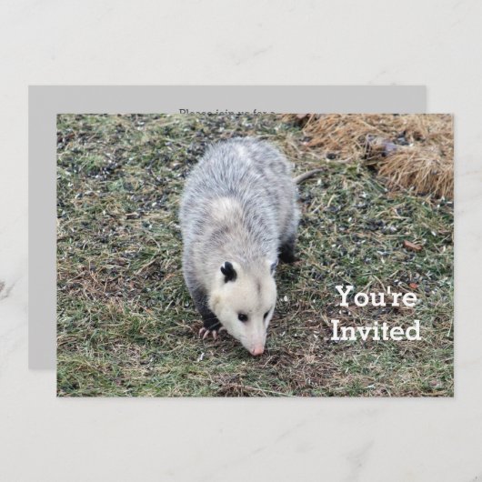 Opossum Uitnodiging (Voorkant / Achterkant)