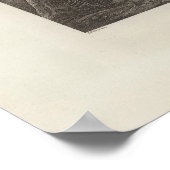 Opossum, Van Diemen's Land, Tasmanie Poster (Hoek)