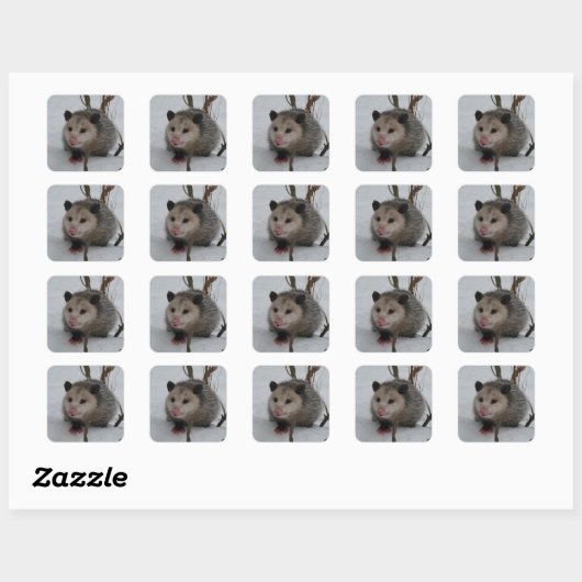 Opossum Vierkante Sticker (Vel)