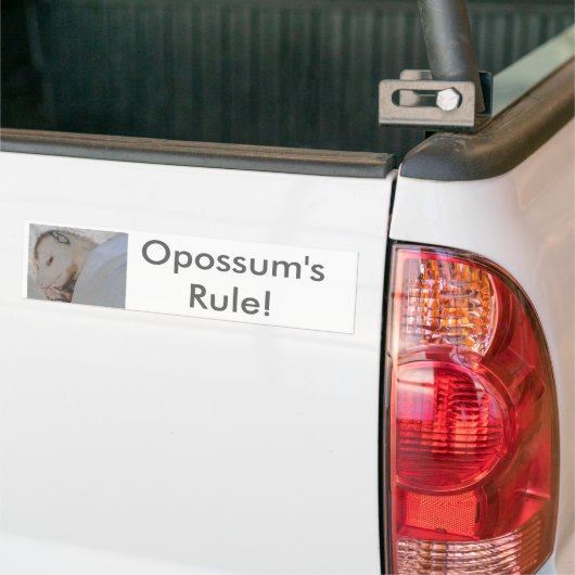 Opossum's regel! bumpersticker (Op Truck)