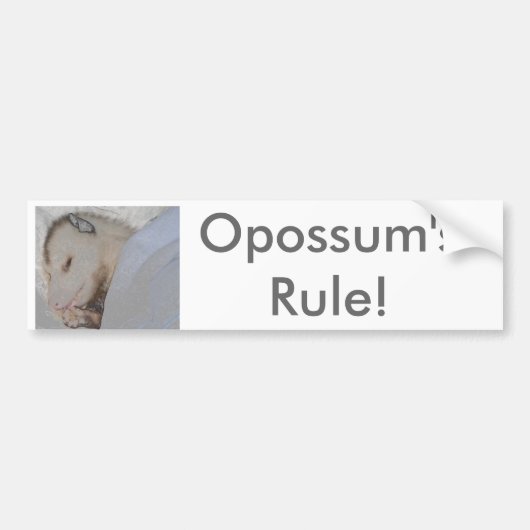 Opossum's regel! bumpersticker (Voorkant)