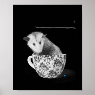 Opossum's zijn je vrienden poster
