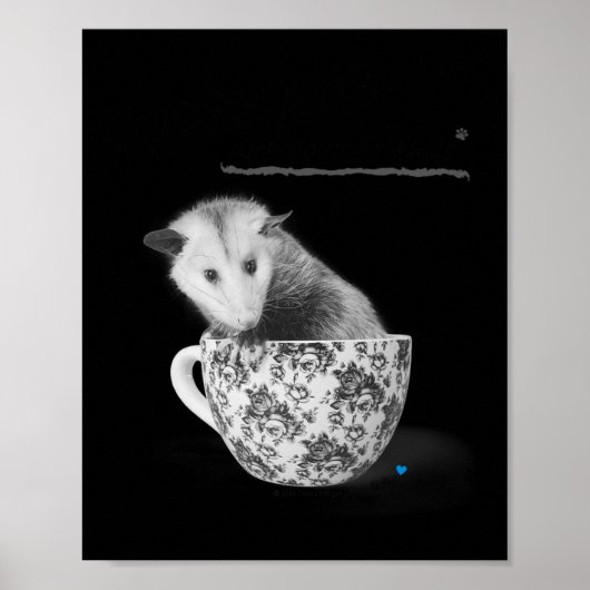 Opossum's zijn je vrienden poster (Voorkant)