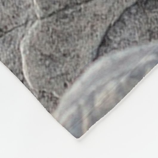 Oppervlak steensteen voor rottextuur fleece deken (Hoek)