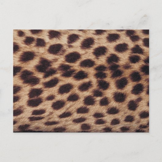 Oppervlak van de gevlekte feline briefkaart (Voorkant)