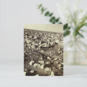 Oppervlak van Mars Briefkaart (Staand voorkant)