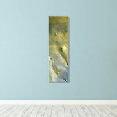 Oppervlak van Mars Canvas Afdruk (Insitu (Houten vloer))