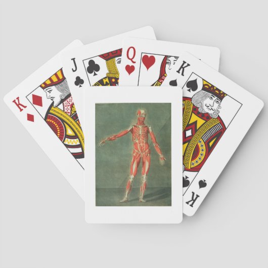 Oppervlakkig spierstelsel van de voorkant van het  pokerkaarten (Achterkant)