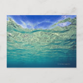 Oppervlakte van helder topicaal zee gezien van briefkaart (Voorkant)