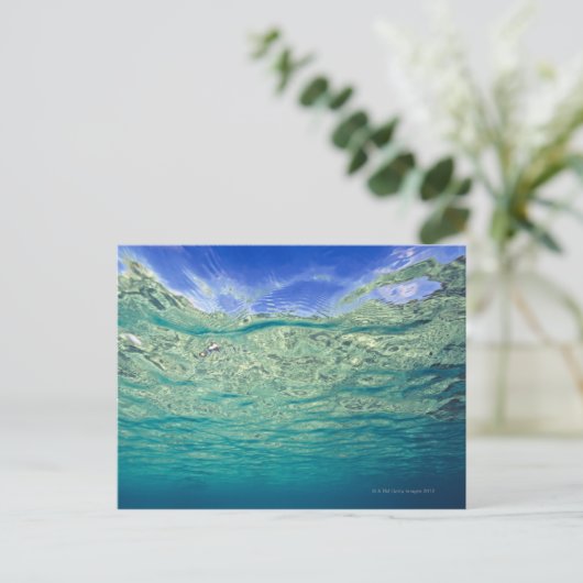 Oppervlakte van helder topicaal zee gezien van briefkaart (Staand voorkant)