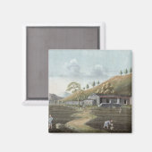 Opplant van thee (w/c op papier) magneet (Voorkant / Achterkant)