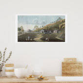 Opplant van thee (w/c op papier) poster (Keuken)