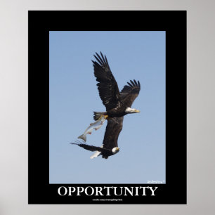 Opportunity Bald Eagles Motivatie Foto Poster