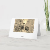 Oprechte deelneming - met rode rozen kaart (Achterkant)