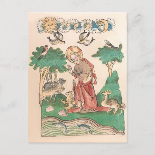 Oprichting van de wereld - Bijbelmiddeleeuwse manu Briefkaart (Voorkant)