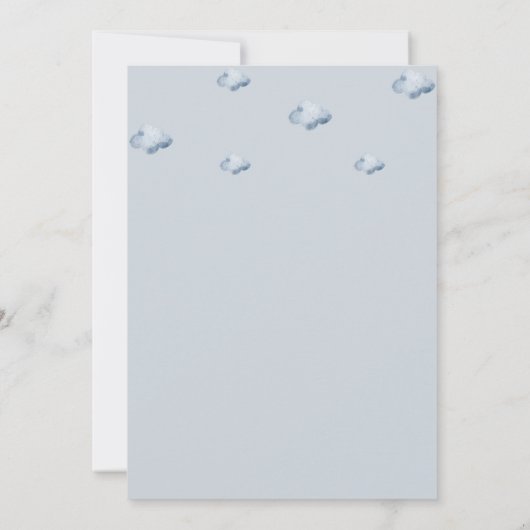 Oproep Alle Party Dieren Vliegtuig Verjaardag Part Kaart (Achterkant)