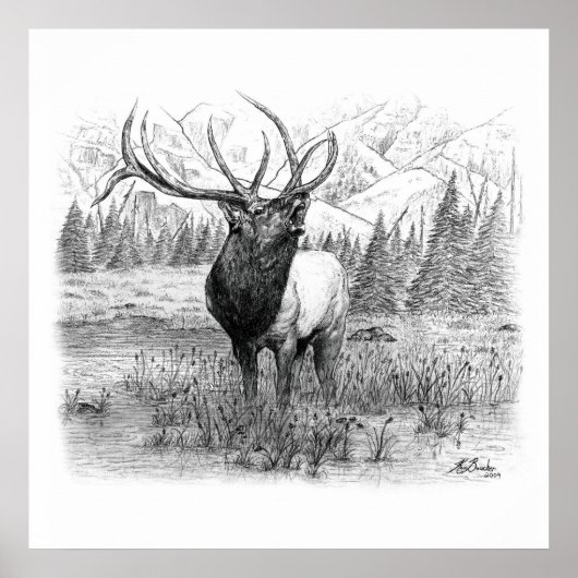 Oproep van de koning poster (Voorkant)