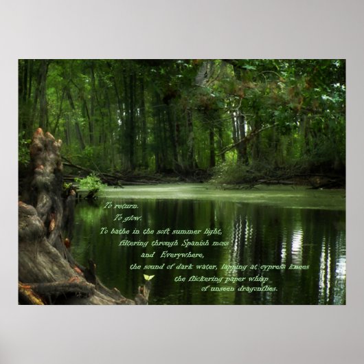 Oproep van de South Photo Postser Poster (Voorkant)