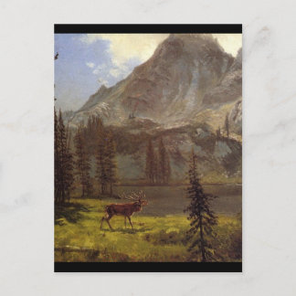 Oproep van de Wilde - Albert Bierstadt Briefkaart