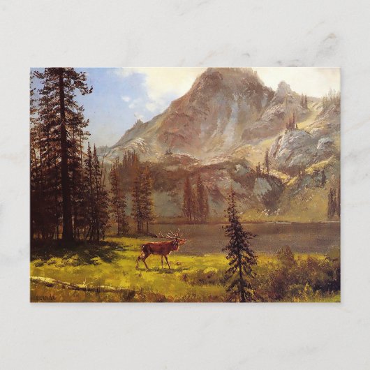 Oproep van de Wilde door Albert Bierstadt 1876-77 Briefkaart (Voorkant)
