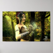 Oproep van de Wilde Poster (Voorkant)