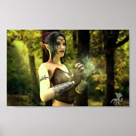 Oproep van de Wilde Poster (Voorkant)