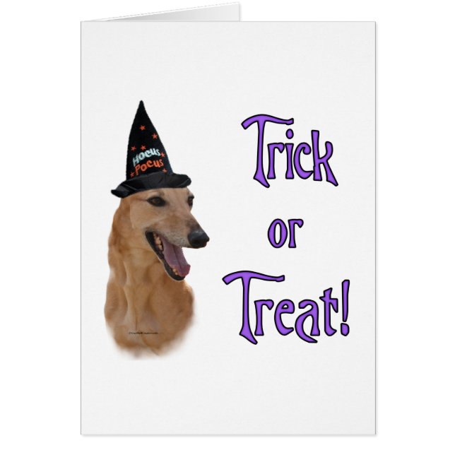 opschepper (Voorkant)