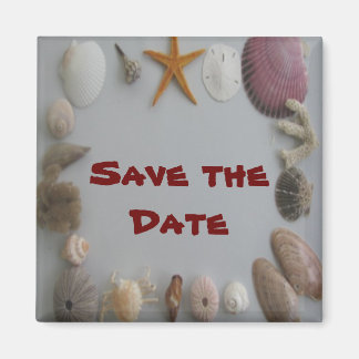 Opslaan van datum/zeeschelpen magneet