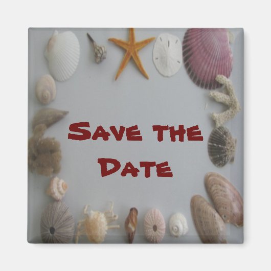 Opslaan van datum/zeeschelpen magneet (Voorkant)