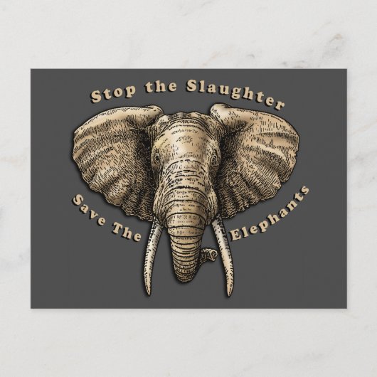 Opslaan van de afbeelding van Elephants Briefkaart (Voorkant)