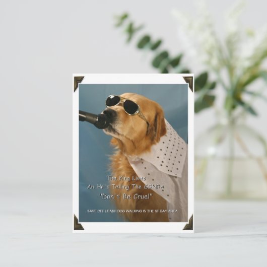 Opslaan van off-Leash Dog Walking Senator Boxer Briefkaart (Staand voorkant)